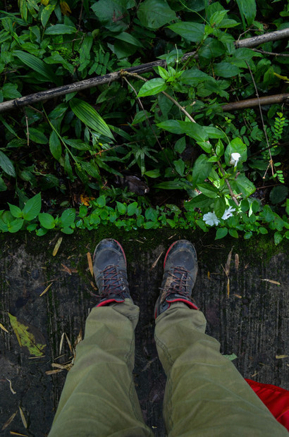 树男人的腿在雨林中桥上站起松弛旅游图片