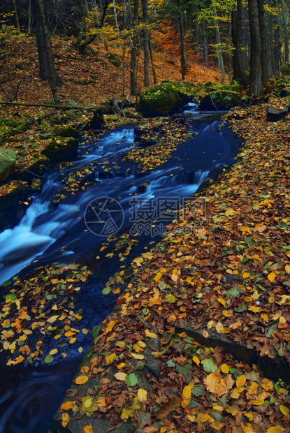 秋季美丽的山林和河水图片