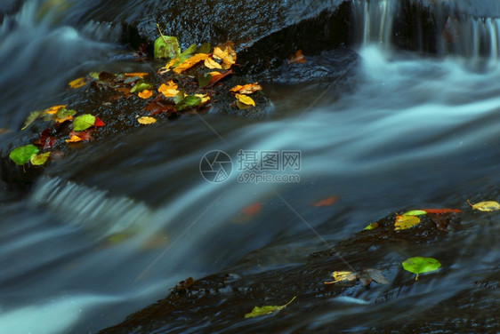 秋季美丽的山林和河水图片