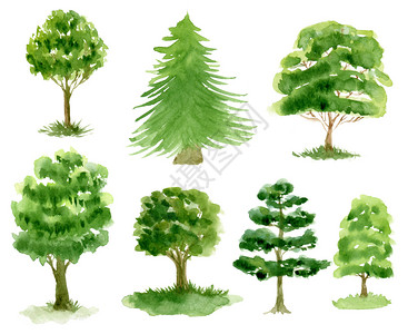 榆树插画_榆树卡通_榆树插图_手绘_板绘_摄图网