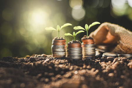 植树苗正在生长放地面的硬币上想着金融增长货币思维市场图片