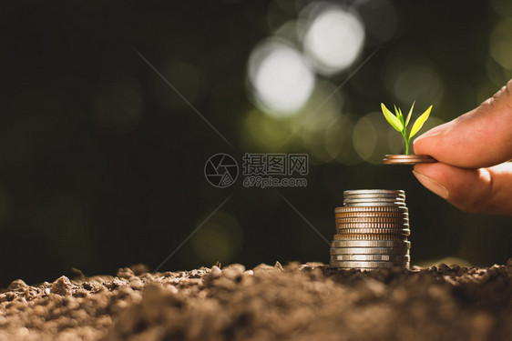 每个财富铢男人的手在捡硬币这些正在不断膨胀相互之间发芽金融增长的概念图片