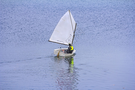 臭鼬水手划船在湖边小上行运动图片