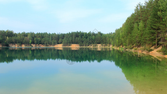 木头全景池塘在森林中画像湖美丽的夏日风景林中画相湖在森图片