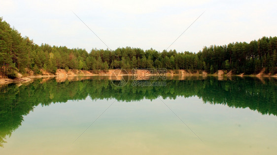 在森林中画像湖美丽的夏日风景林中画相湖在森旅行画报荒野图片