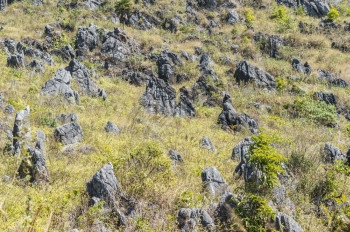 冒险灰色的楼梯绿树和石块在山地景观中的位置图片