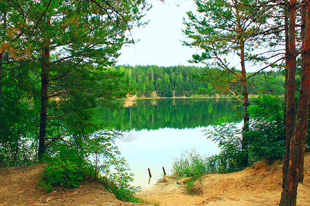 森林湖泊图片