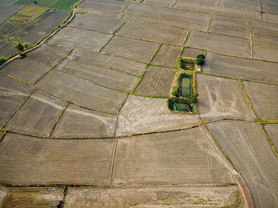 农村白饭阴谋准备种植大米无人机摄影的一幅大型农业用地的空中图片图片