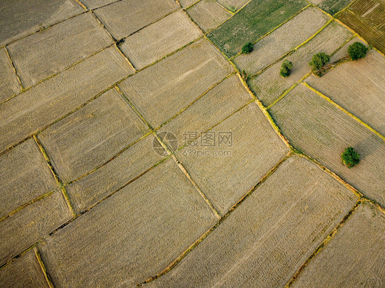 旅行准备种植大米无人机摄影的一幅大型农业用地的空中图片植物阴谋图片