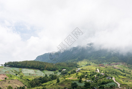 清晨高山上空的雨雾绿色泰国白的图片