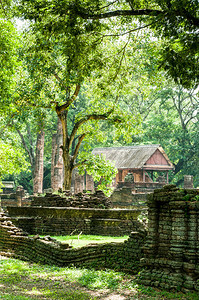 泰国Sukhothai省SiSatchanalai历史公园古老的礼拜城市孟树景观图片