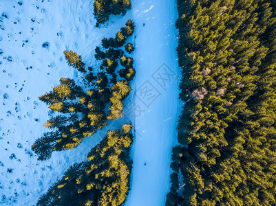 景观滑雪度假胜地在草原森林的边缘空中观光滑坡和森林空中观光人们户外图片