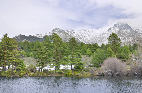 全景西班牙马德里纳瓦塞拉达山脉和湖泊的雪森林远足图片