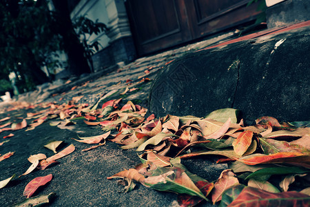 秋季在街上流落着多彩的叶子使秋天背景美丽制作堕落亚洲图片