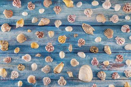 假期木板夏季时间概念在蓝木背景和沙海壳框架的木本底海边界上使用壳进行上贝优质的图片