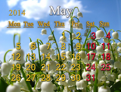 2014年5月日历关于山谷里利丽花的背景春天日程盛开图片