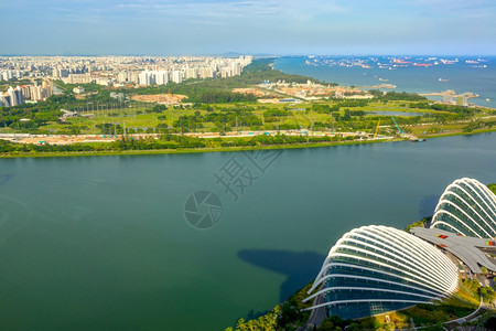 城市的超级树新加坡住宅区全景用船只和花朵多梅空中观察进行突袭住宅区全景以及新加坡空中观察的船舶突击袭等情况公园图片