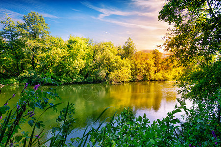 池塘蓝河或湖在岸上有明绿树的蓝河或湖泊夏季风生态清洁自然概念蓝河或湖在岸上有明绿树天空干净的图片