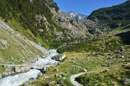 欧洲的阿尔卑斯山来自瑞士特里夫冰川的山河流森林图片