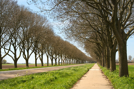 带树木和自行车路的风景道户外维林克乡村的图片