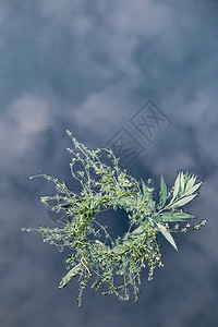 自然文化在中山江上漂浮的鲜花和草药乡村图片