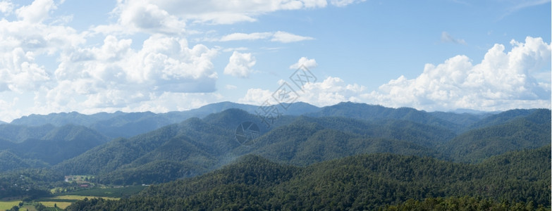 草树户外林山天空和在明晴的白天季节温暖图片