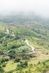 森林清晨用薄雾弯曲通往高山的公路景观假期图片