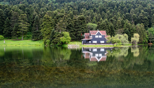 反射博卢BoluGolcuk公园森林内的木环湖房屋户外土耳其图片