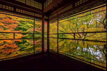 秋天古建筑里黄色的枫叶图片