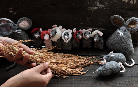 人类微小的玩具妇女手握着稻田和喂养群可爱的灰老鼠和小的草皮黑木本底是手工编织自艺由时间缝线的手工制品编织图片