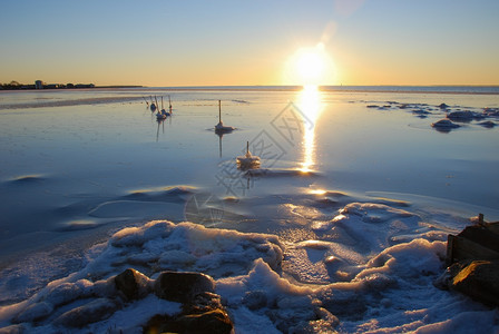 湖畔寒冷的波罗海岸冰面太阳反射波罗地海思图片