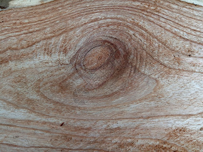 原粗糙加工后由灰树木板制成的质表面背景纤维自然泰国图片