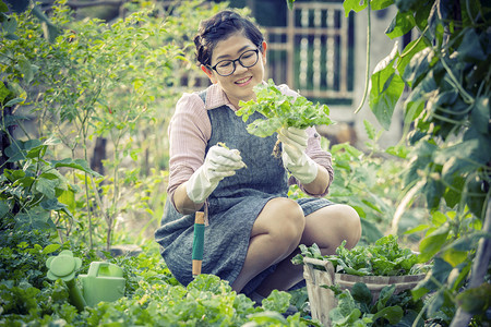 美丽的闲暇成人在家里做园艺工作时笑着面容的亚洲女人图片