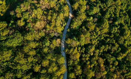 小路穿过绿色荒原和山丘的农村公路最顶端景色沥青鸟眼图片