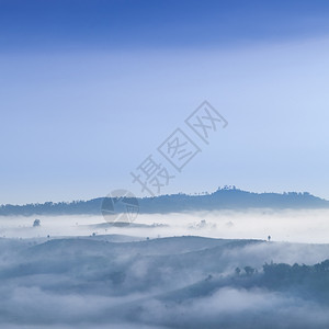 夏天清晨有雾的山峰和森林在泰国北部清晨寒冷凉爽场景图片