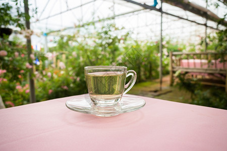 在花园里喝茶的时间股票照片草本香气茉莉图片