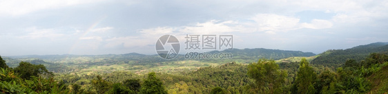 树塔伊兰一个森林区全景大山和森林多云的天空公园面积阳光图片