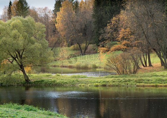 云公园秋季地貌景观背中的河流和森林靠近图片
