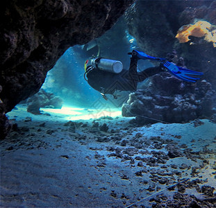鱼惊人的洞穴潜水隧道自然图片