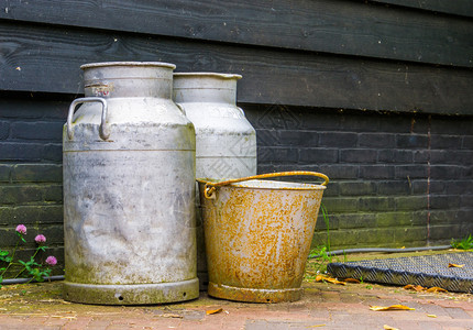 荷兰乡村的农业背景传统场设备金属奶罐和一个老生锈桶子一种图片