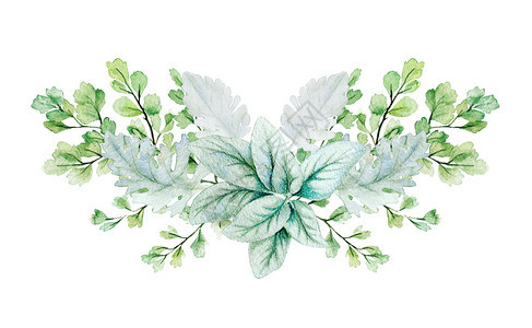 树叶装饰绿色对称装饰花束由羔羊耳叶和头豆组成手抽水彩色插图模板形象的图片