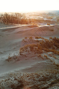 阳光照射在沙滩上波罗的海沙丘陵和波罗的海陵和风景优美莱巴户外图片
