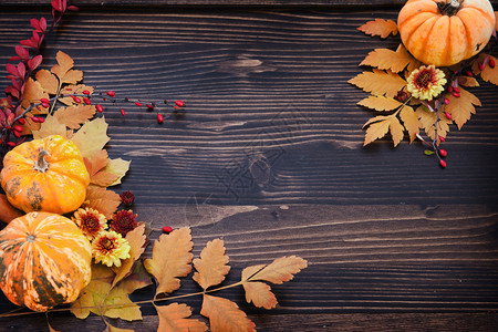 秋季树叶南瓜边框背景图片