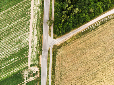 以无人驾驶飞机从田地和林铺设的国路道分支抽象垂直空中观察摘要高的乡村图片