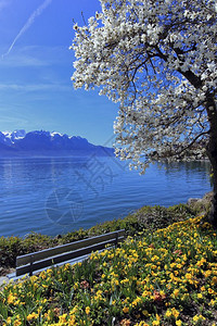 风景优美春季在日内瓦或瑞士蒙特勒的Leman湖瑞士日内瓦的MontreuxSpringtime或瑞士蒙特勒的Leman湖阿尔卑斯图片