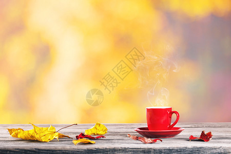 秋季的落叶和红色咖啡杯图片
