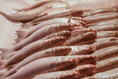 伊朗BandarAbbas鱼市场出售的新鲜鱼粉色一顿饭经济图片