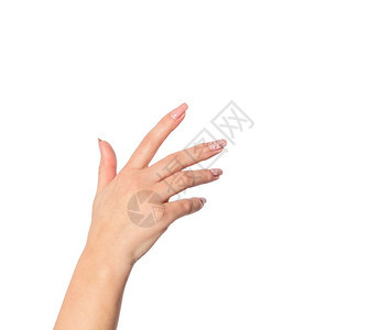 手指白色背景上的空开放女手白色背景上的女手沟通棕榈图片