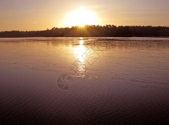 自然景观日落在瑞典斯德哥尔摩湖冬风景细节上晒太阳图片