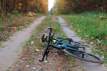 自然行车在小路上秋天森林里的自行车秋天森林里的自行车场景图片
